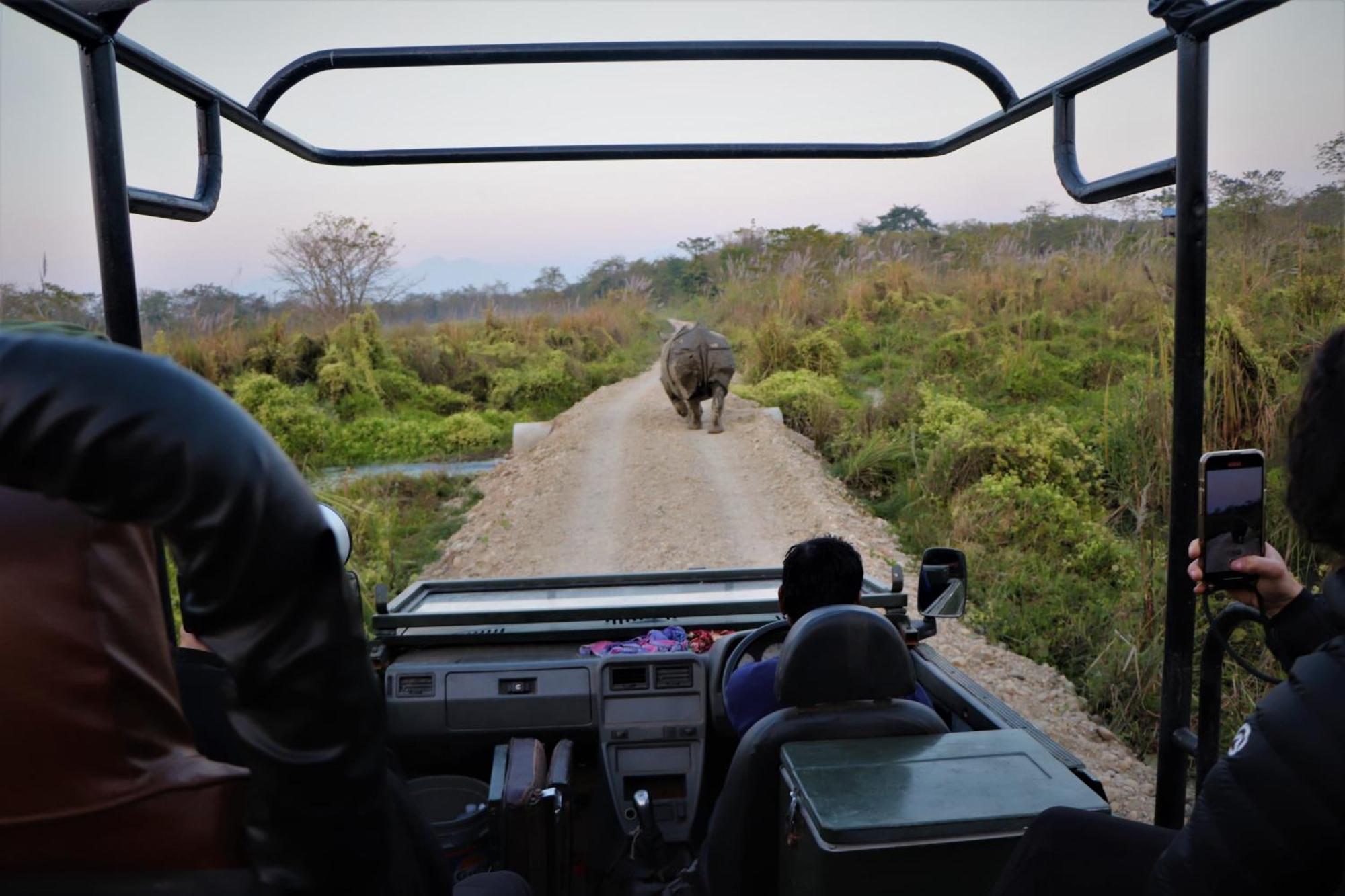 Hotel Flycatcher Chitwan- A Jungle Safari Home Sauraha Esterno foto