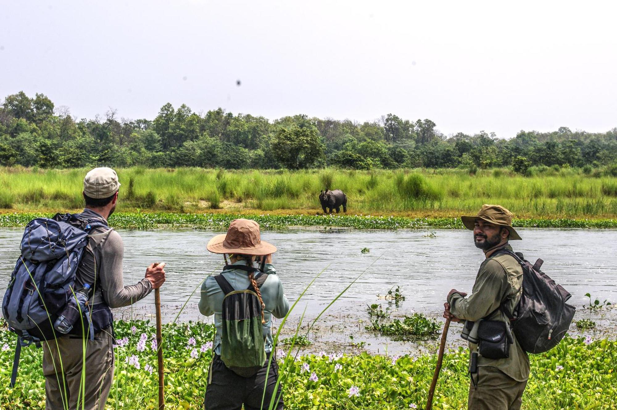 Hotel Flycatcher Chitwan- A Jungle Safari Home Sauraha Esterno foto